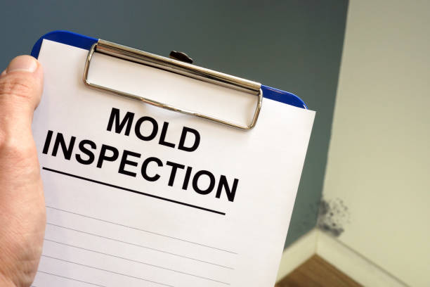 Best Forensic Mold Investigation  in Mccoll, SC